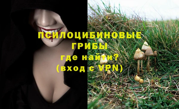 синтетический гашиш Арсеньев