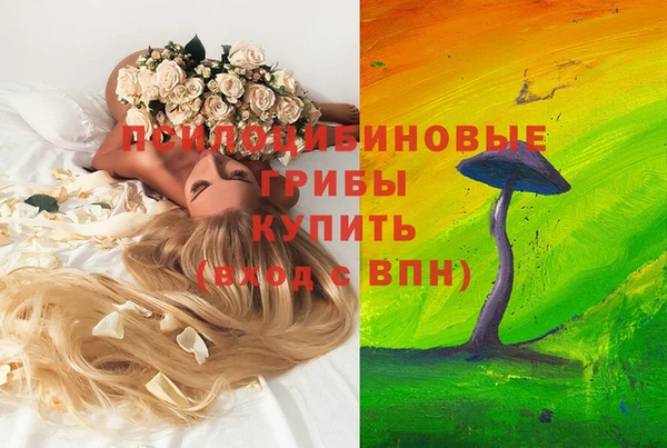 таблы Аркадак