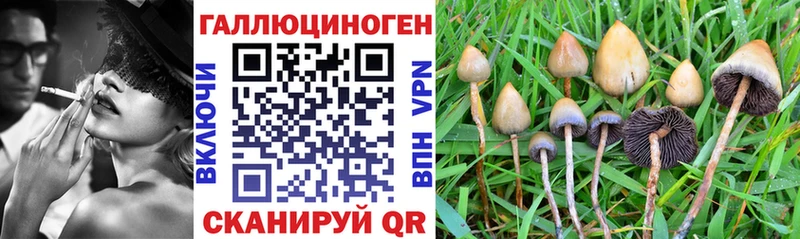 где продают   ссылка на мегу рабочий сайт  Галлюциногенные грибы ЛСД  Удачный 